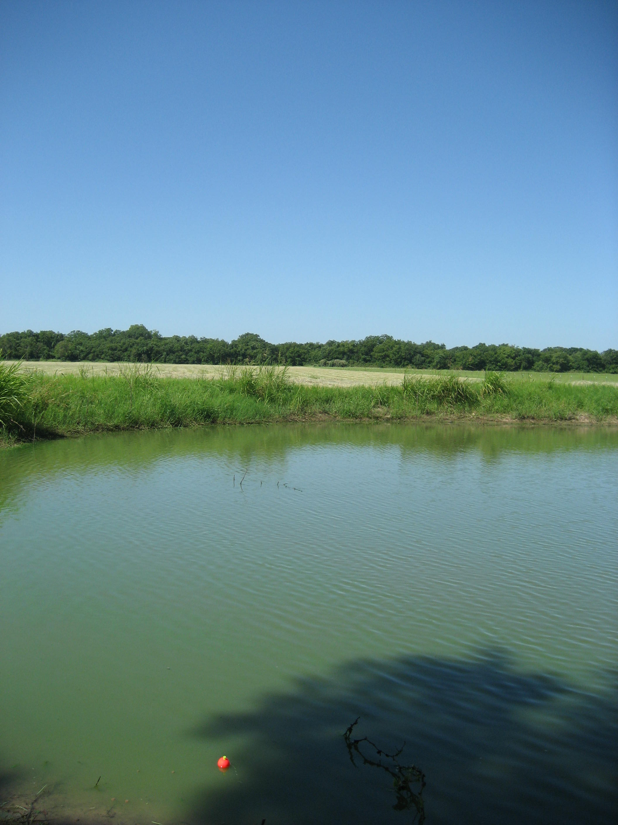 Attached picture Lower Pond.JPG
